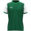 Afbeeldingen van Shirt Dynamic KM donkergroen/wit/groen
